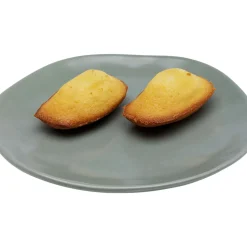Assiette Organic Sauge O20Cm