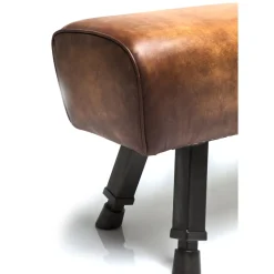 Banc Gym Gabby 153Cm