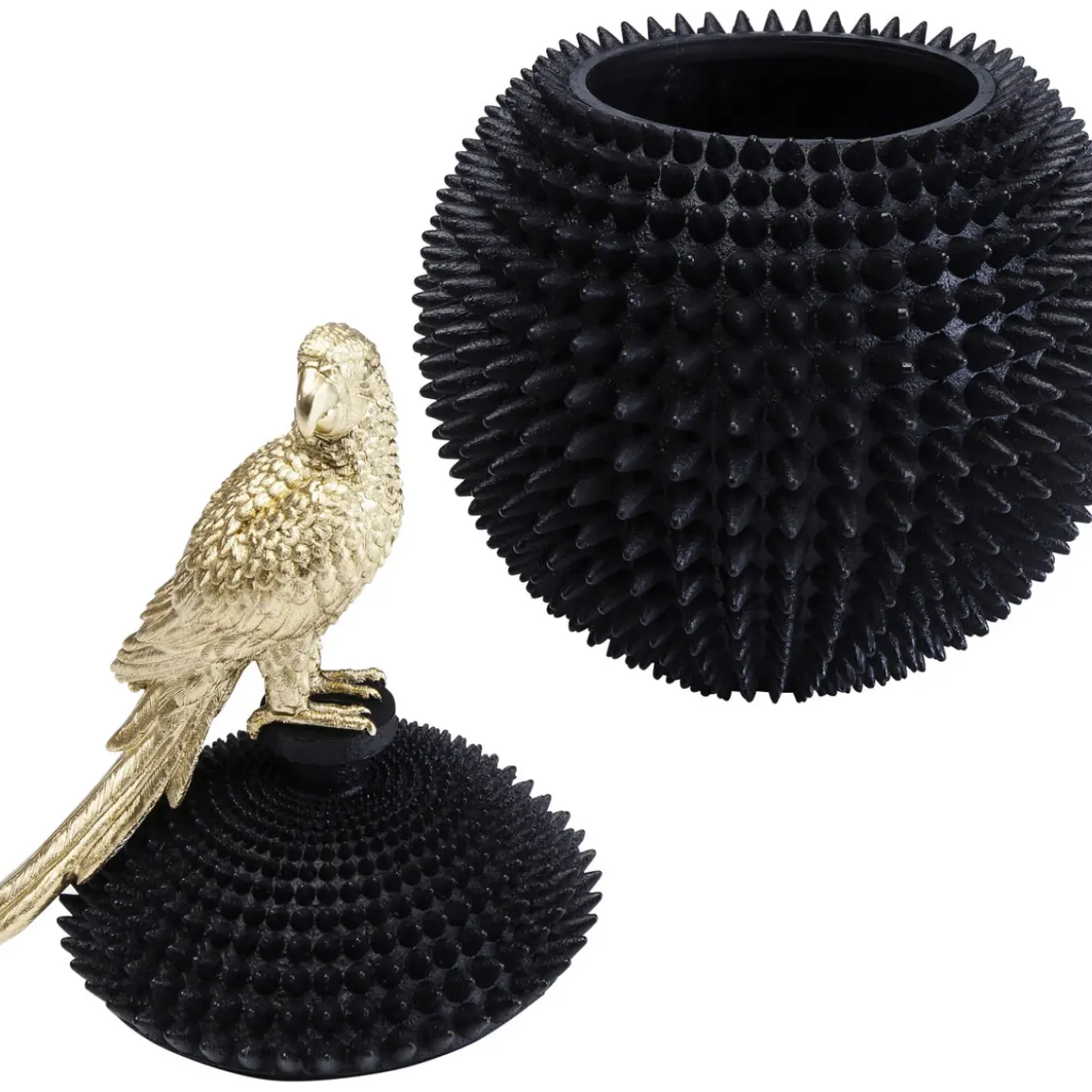 Boite Décorative Parrot 40Cm