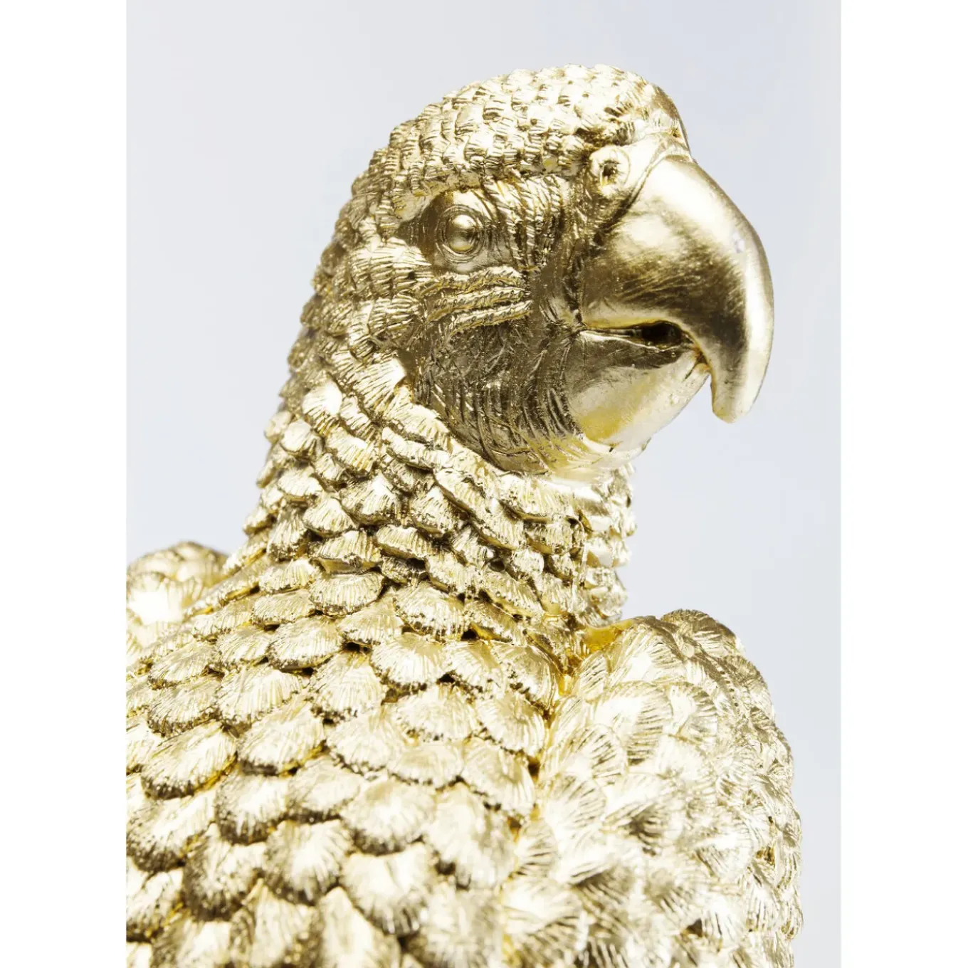 Boite Décorative Parrot 40Cm