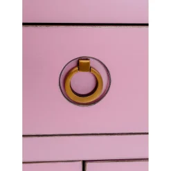 Buffet Disk Pink
