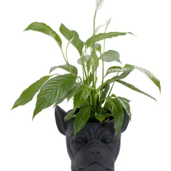 Cachepot Décoratif Bulldog Noir