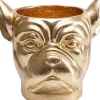 Cachepot Décoratif Bulldog Dore