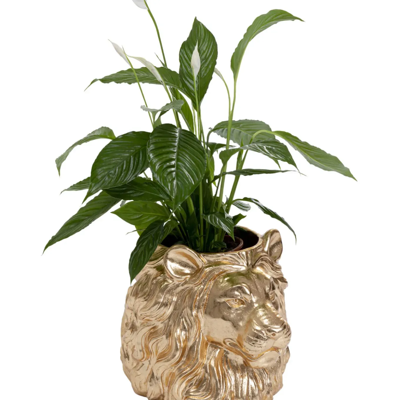 Cachepot Décoratif Lion Dore