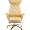Chaise De Bureau Pivotante Brady Laiton