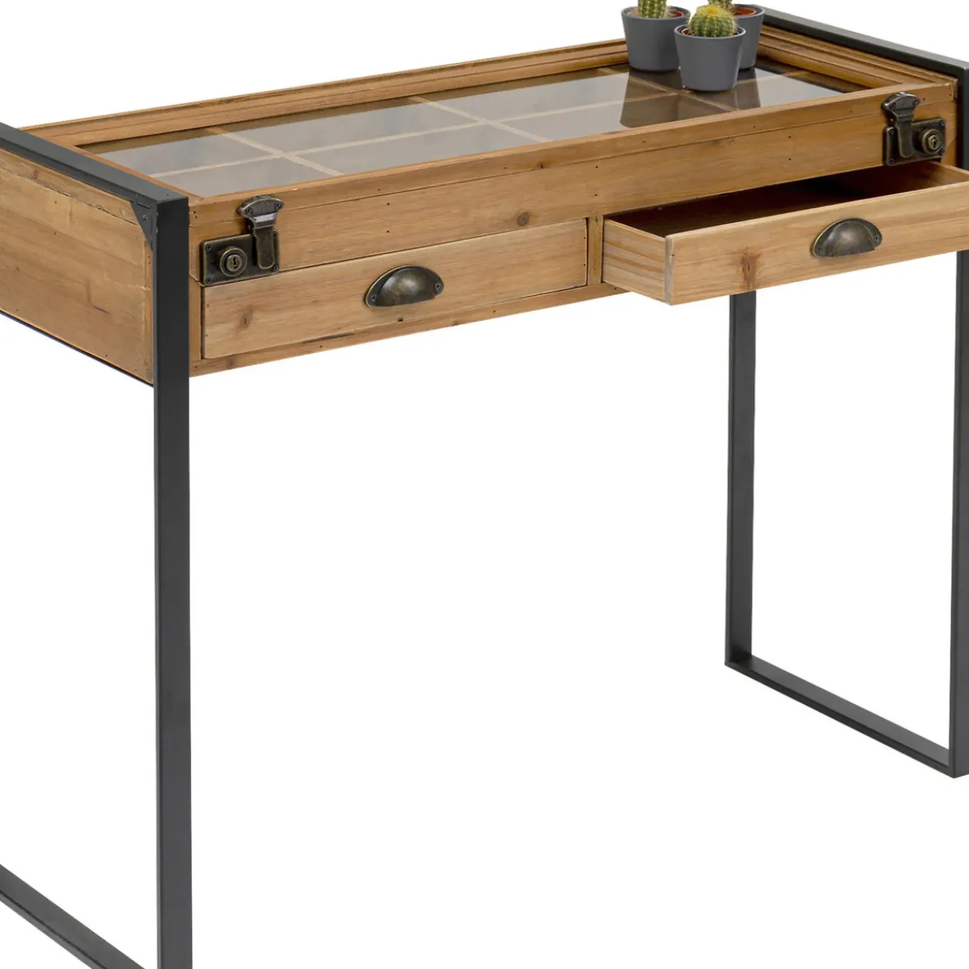 Console Collector Nature 90X35