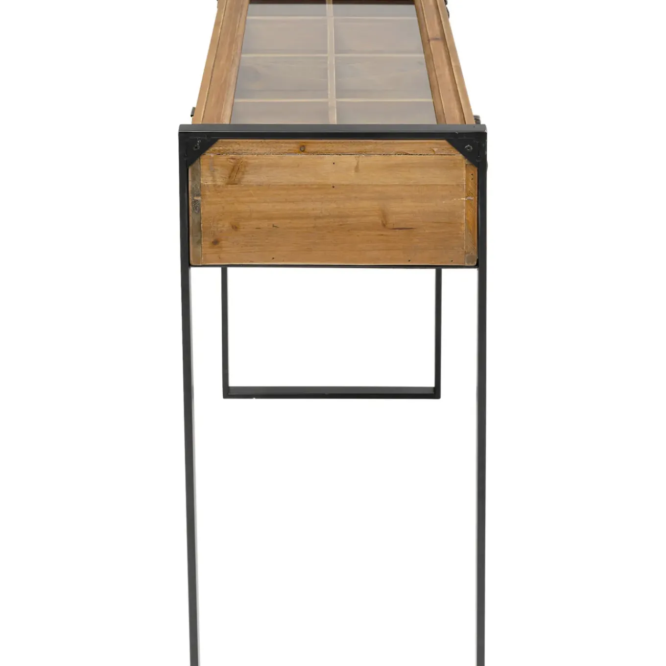 Console Collector Nature 90X35