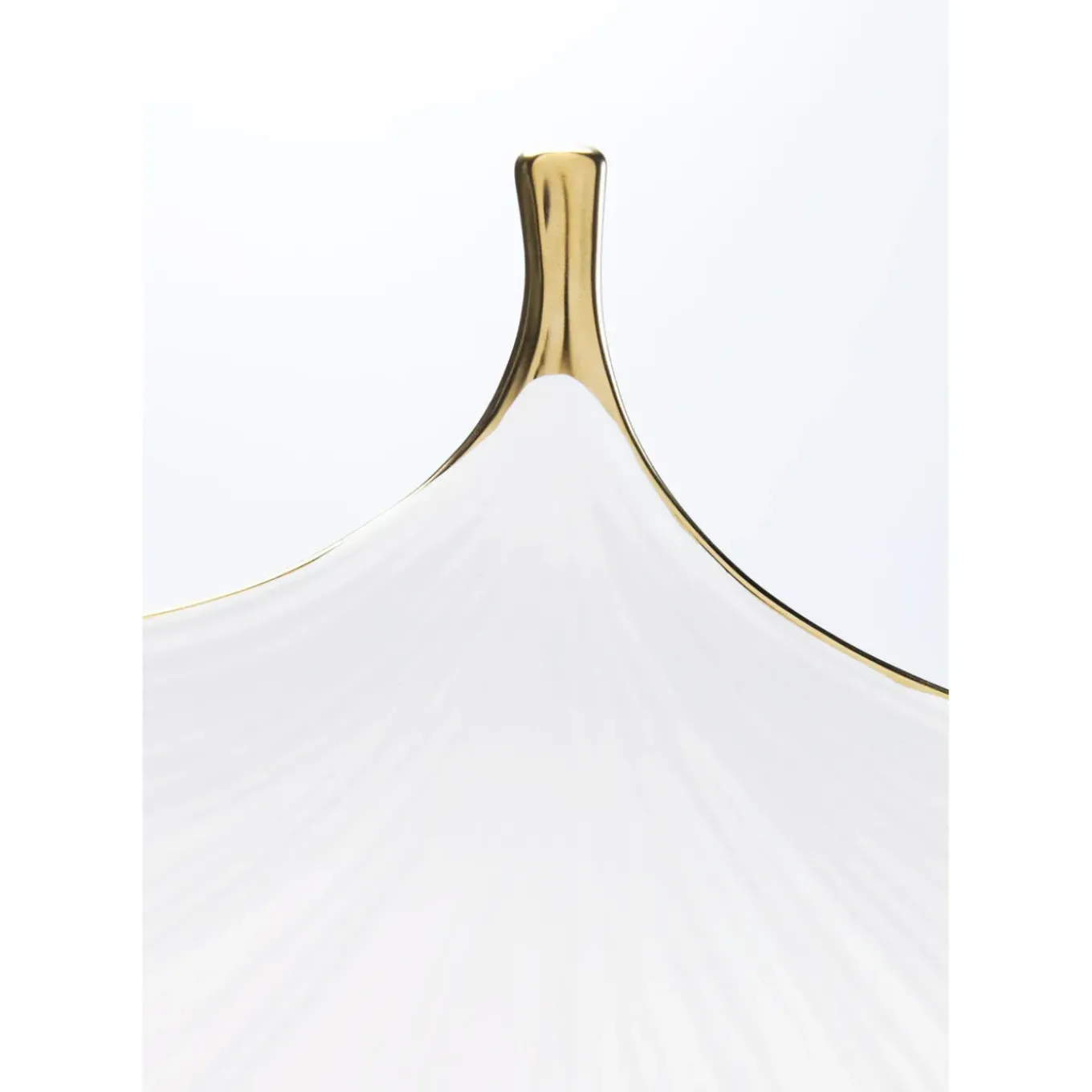 Coupe Ginkgo Elegance Rim