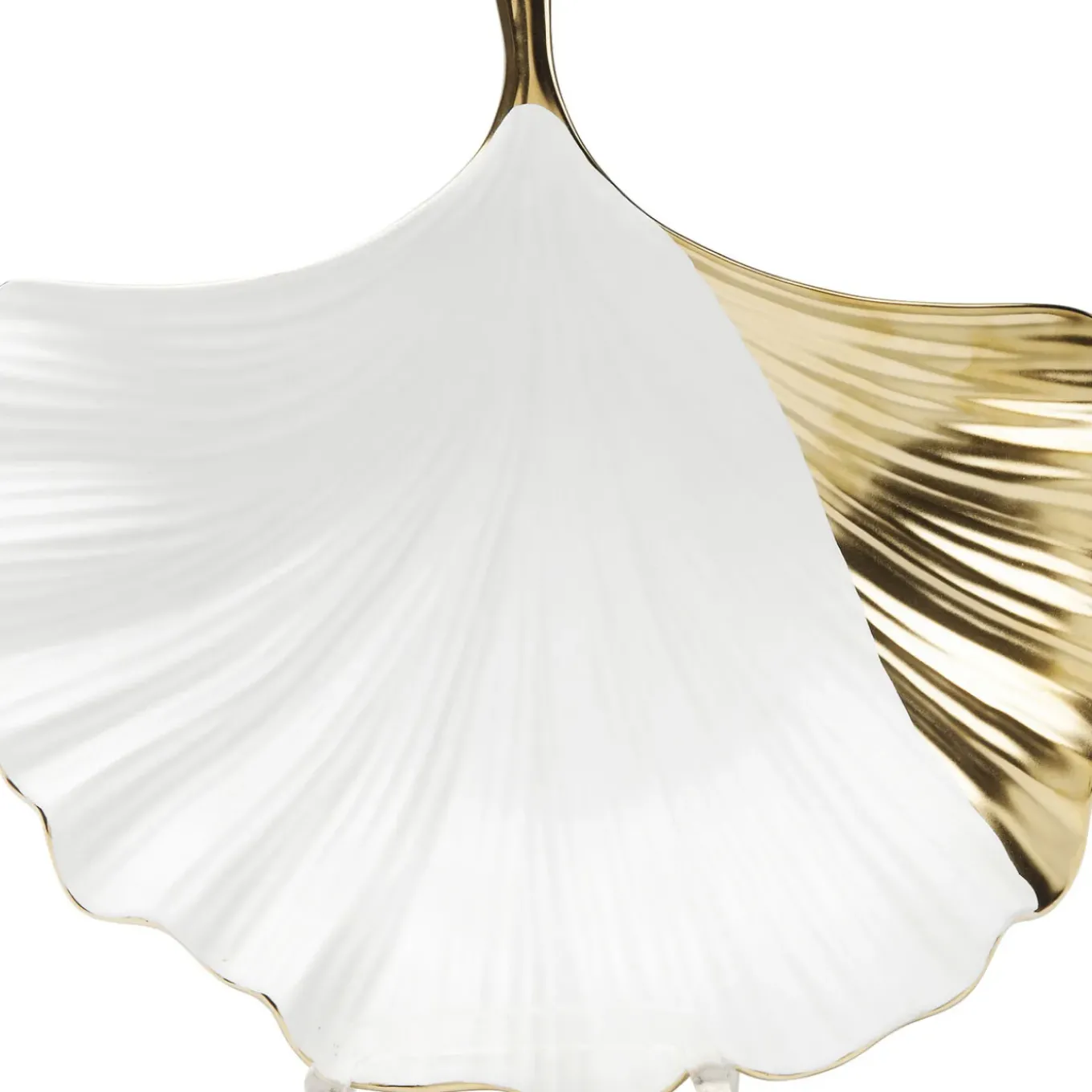 Coupe Ginkgo Elegance Side