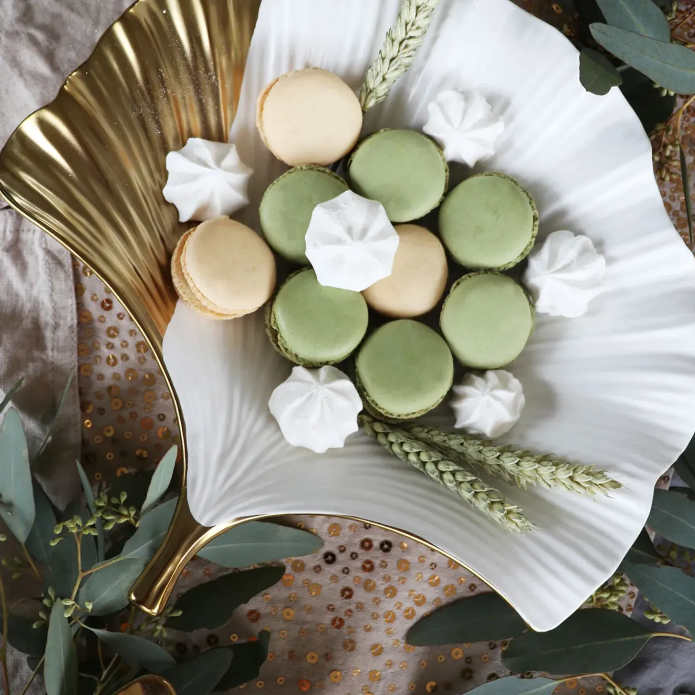 Coupe Ginkgo Elegance Side