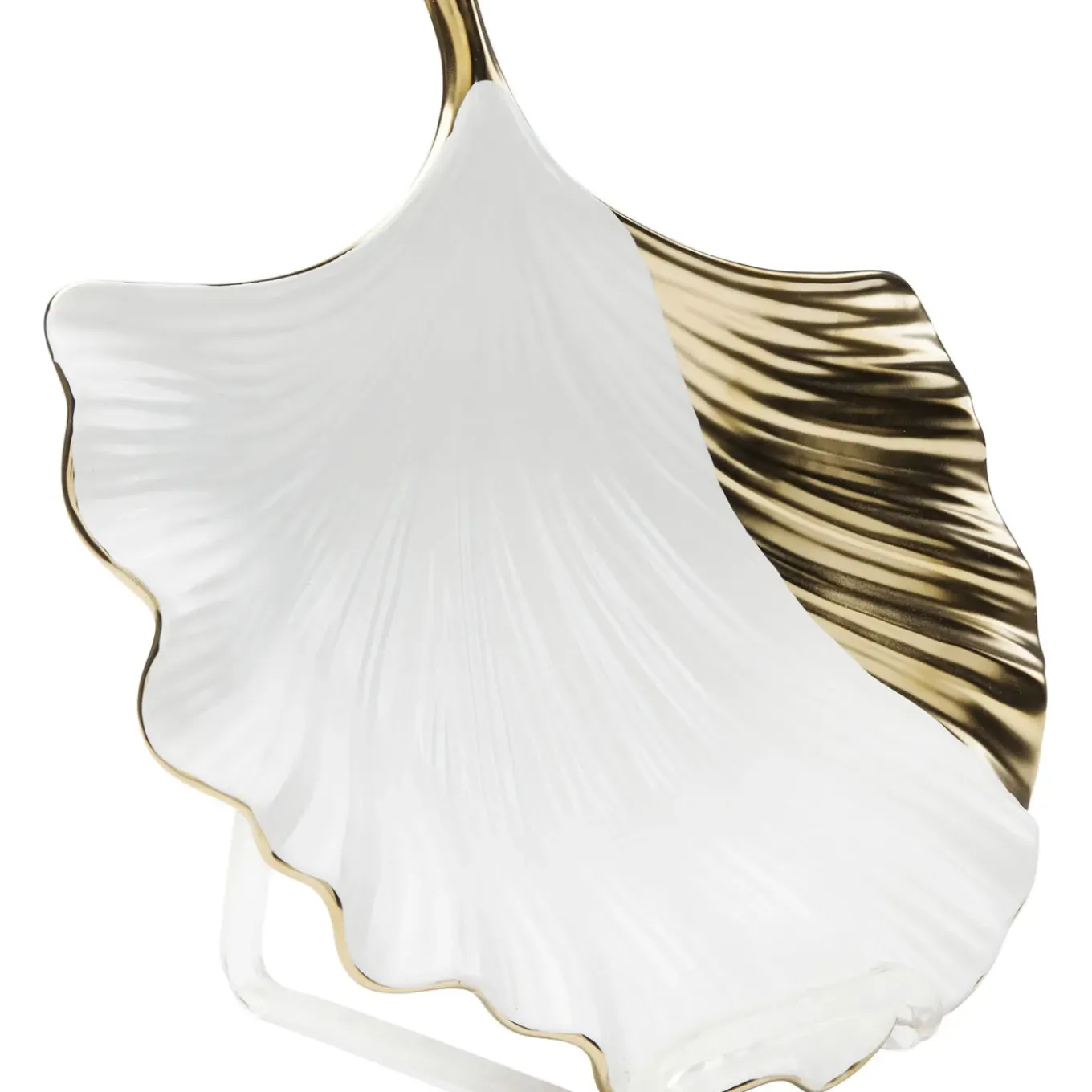 Coupe Ginkgo Elegance Side