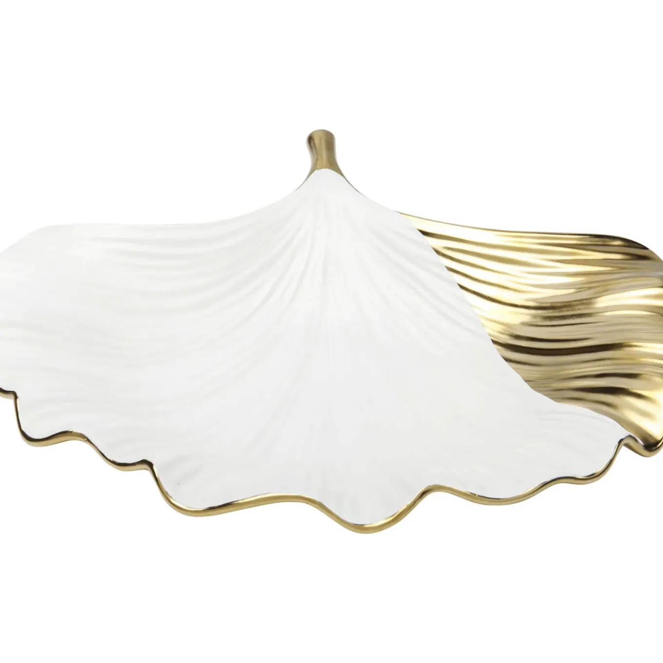 Coupe Ginkgo Elegance Side
