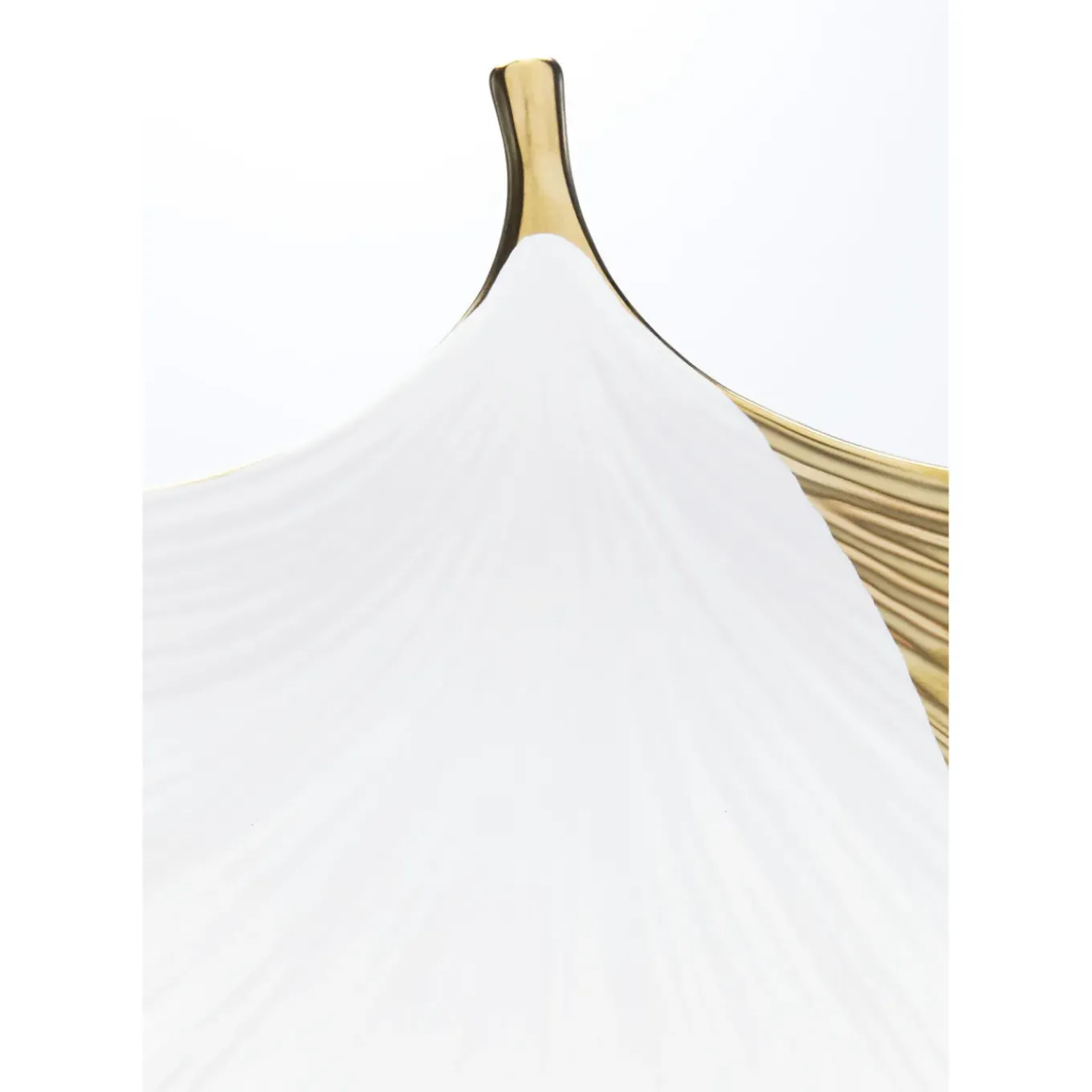Coupe Ginkgo Elegance Side