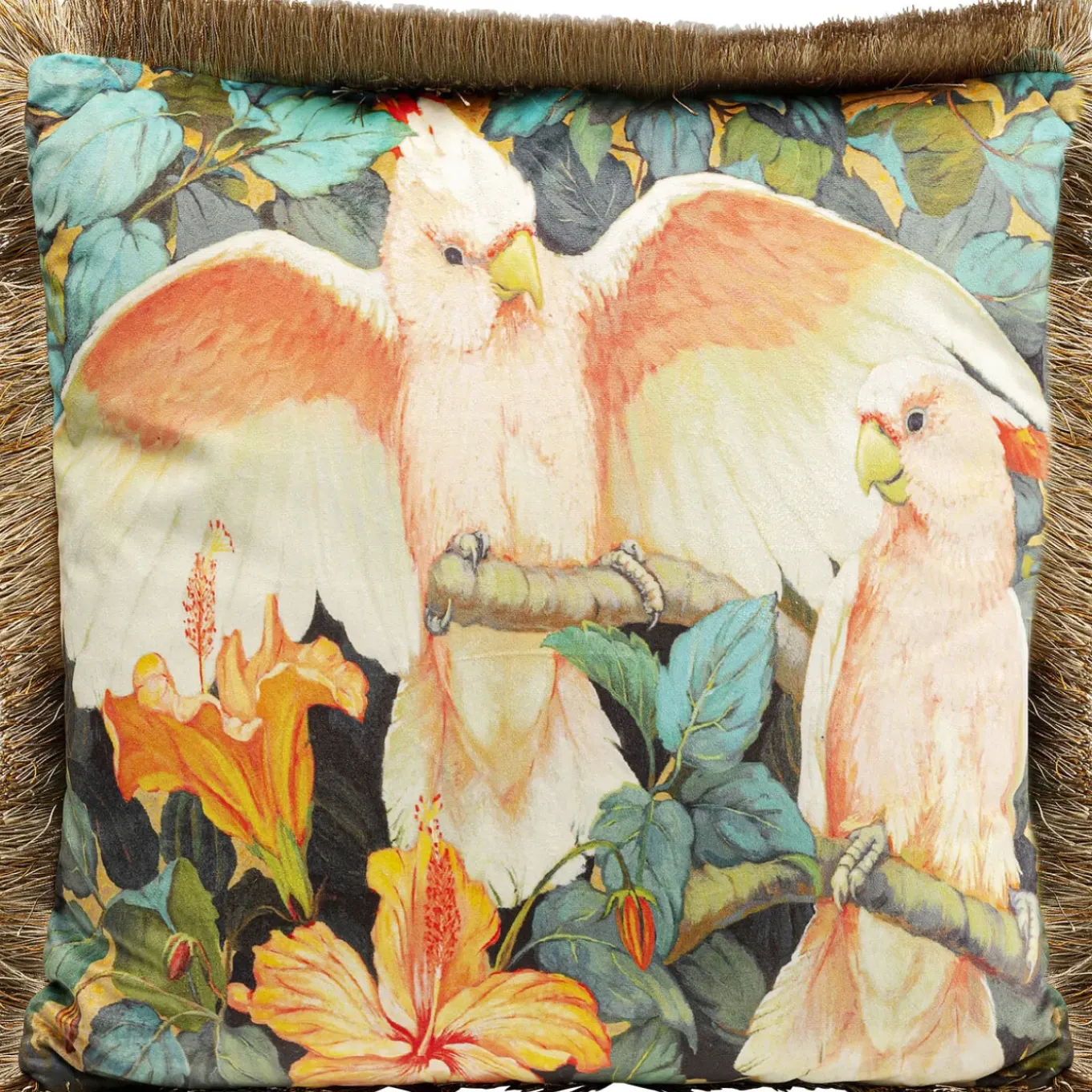 Coussin Parrots Life 45X45