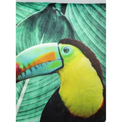 Coussin Tucan 45X45Cm