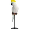 Figurine Décorative Parrot Cockatoo Blanc 38