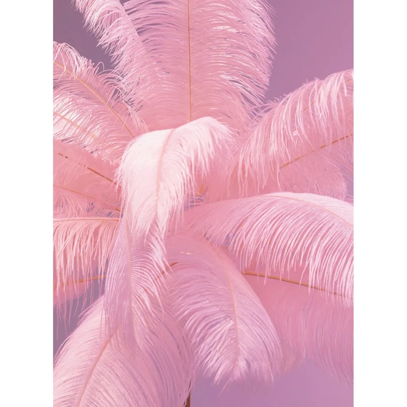 Lampadaire Feather Palm Fuchsia 165Cm