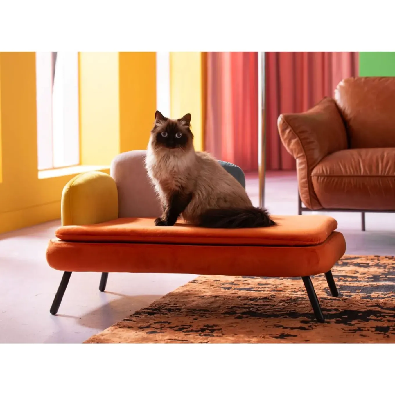 Lit Pour Chien/Chat Diva Orange