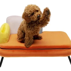 Lit Pour Chien/Chat Diva Orange