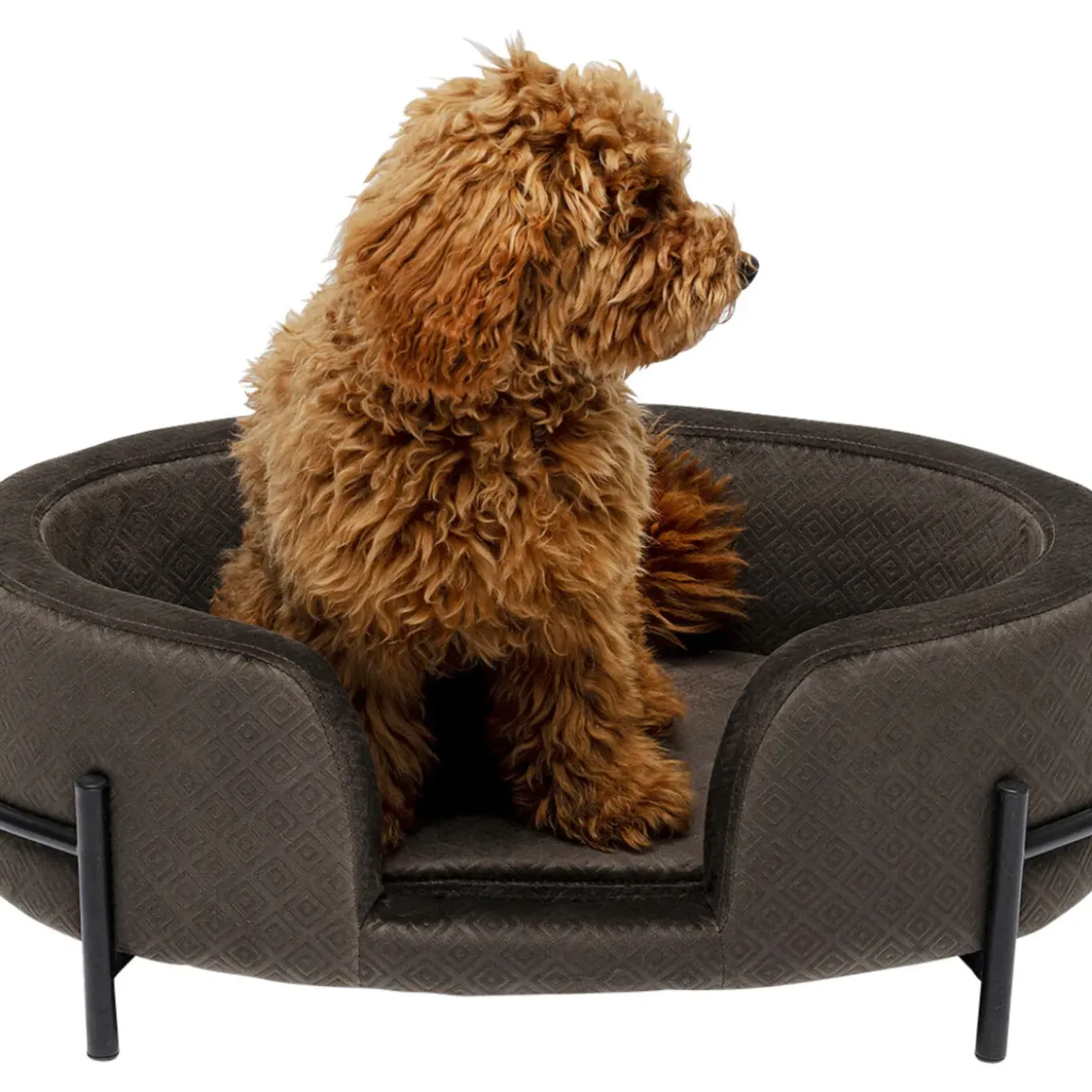 Lit Pour Chien/Chat Dream Day Gris