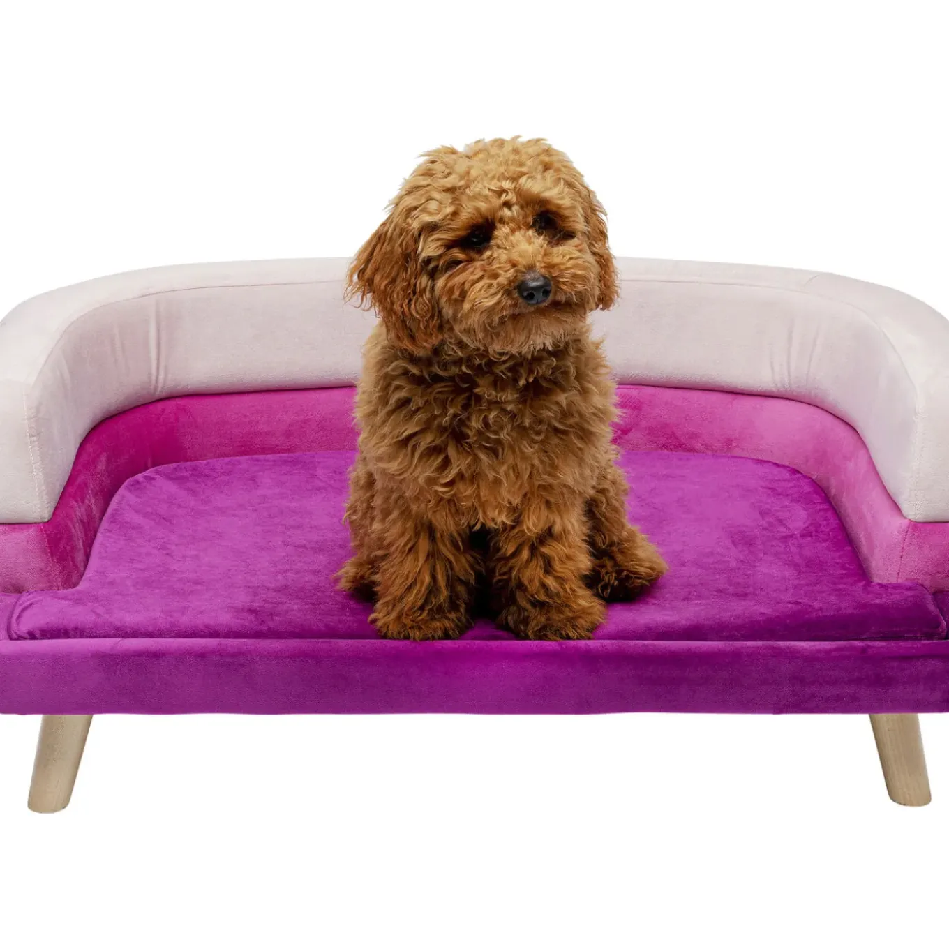Lit Pour Chien/Chat Princess Rose