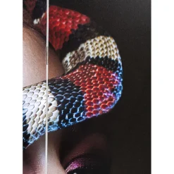 Paravent Royal Headdress Vs Snake Girl 120X180