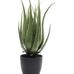 Plante Décorative Aloe 69Cm