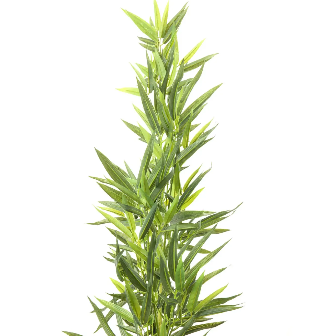Plante Décorative Bamboo Tree 200Cm