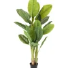 Plante Décorative Banana Tree 180Cm