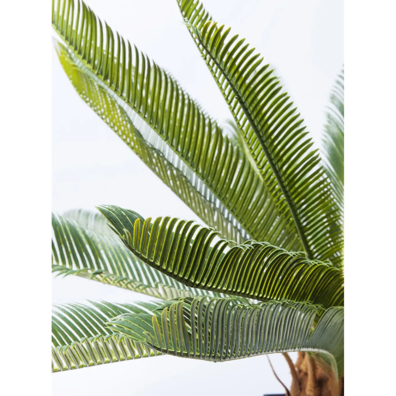 Plante Décorative Cycas Tree 78Cm
