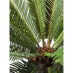 Plante Décorative Cycas Tree 78Cm