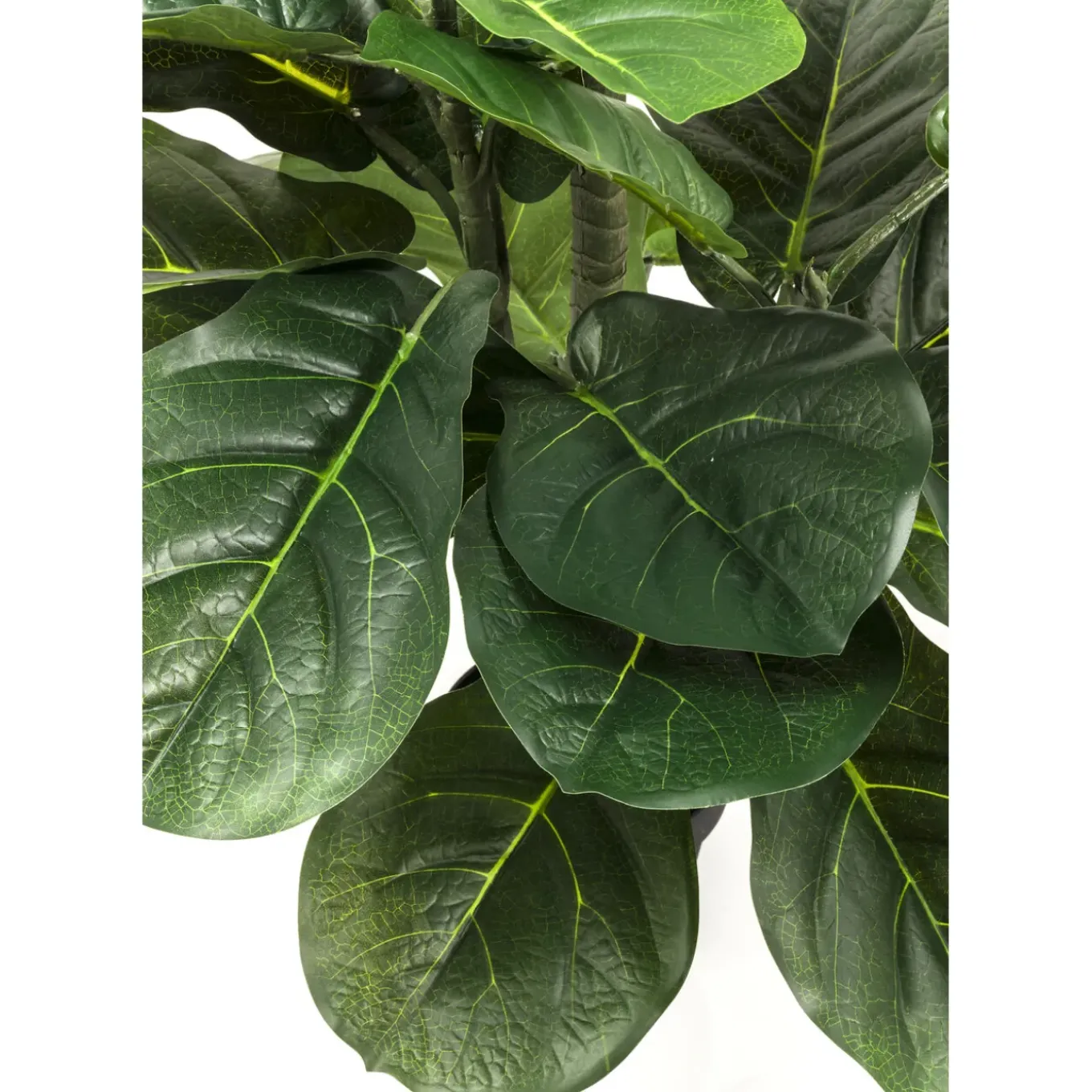 Plante Décorative Fiddle Leaf 120Cm