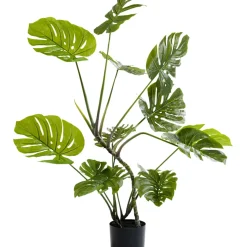 Plante Décorative Monstera 110
