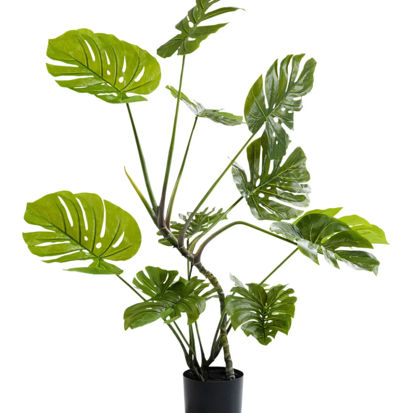 Plante Décorative Monstera 110