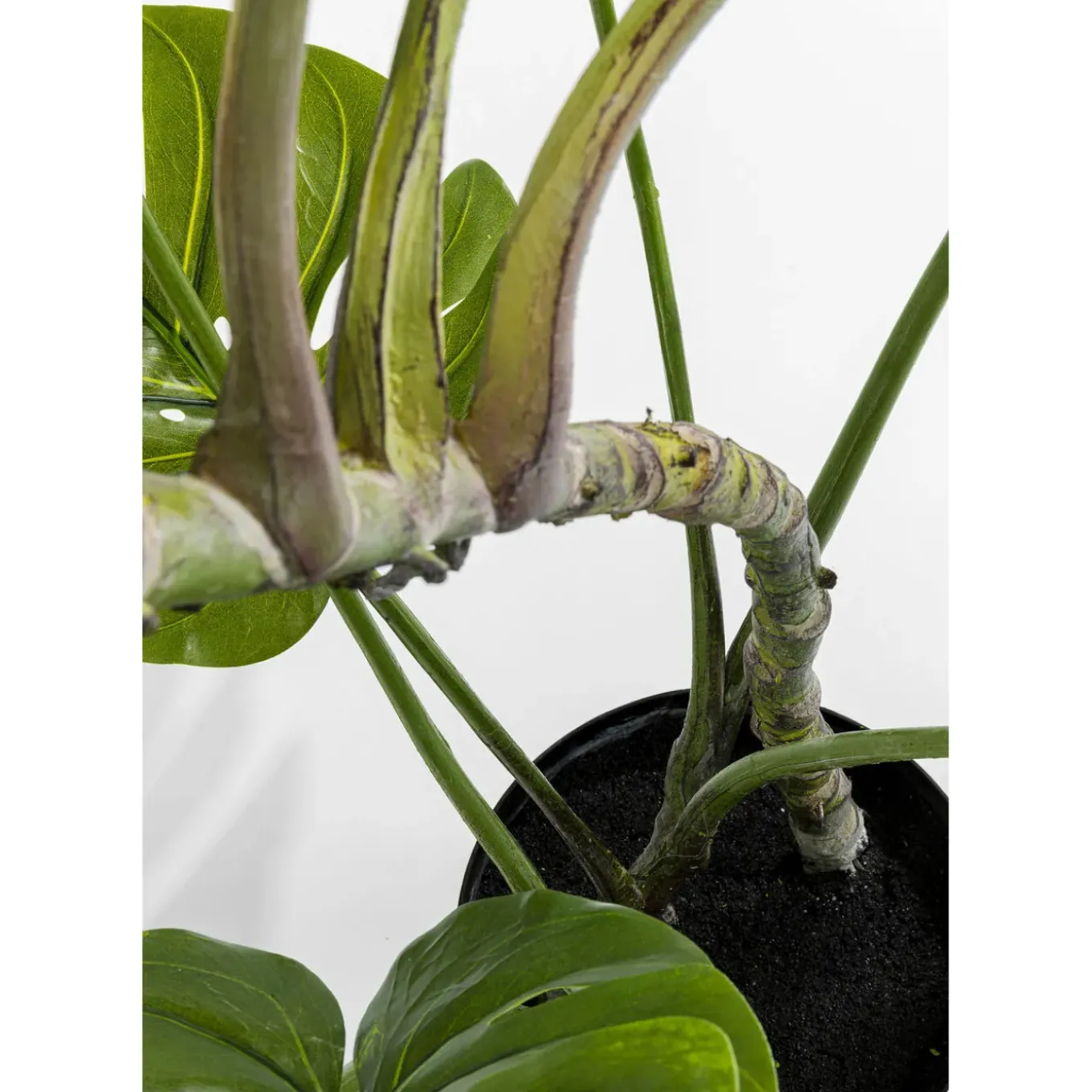 Plante Décorative Monstera 110