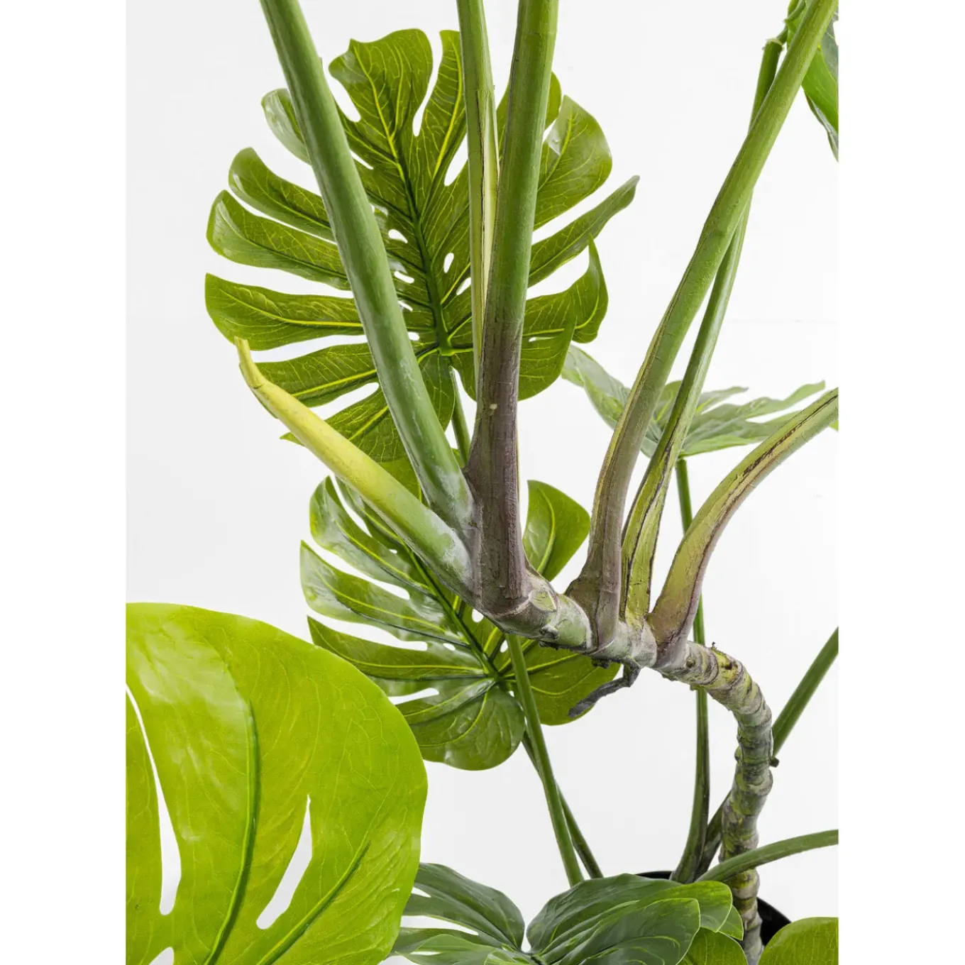 Plante Décorative Monstera 110