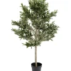 Plante Décorative Olive Tree 120Cm