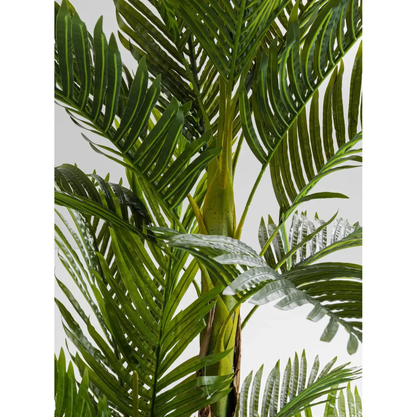 Plante Décorative Palm Tree 190Cm