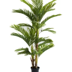 Plante Décorative Palm Tree 190Cm