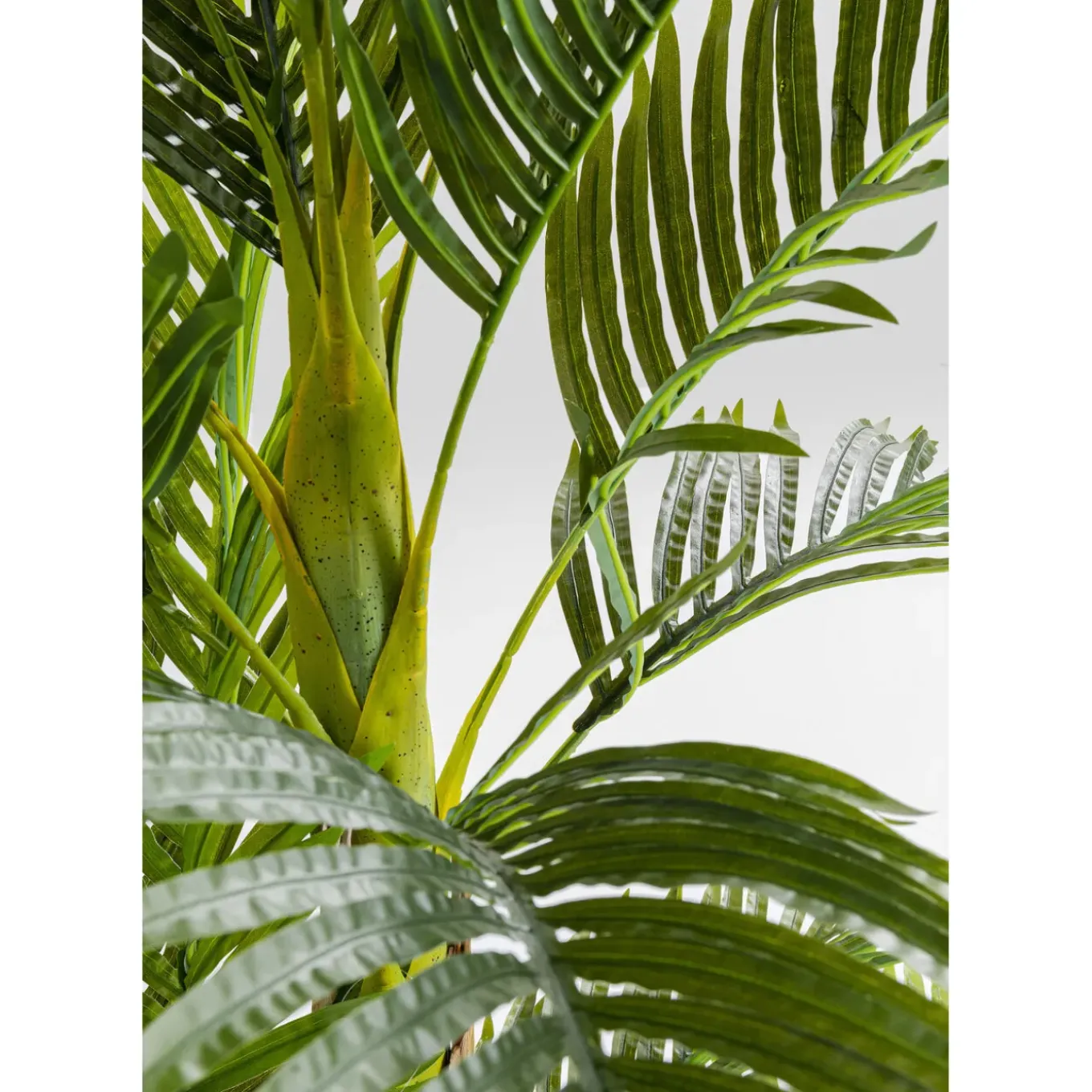 Plante Décorative Palm Tree 190Cm