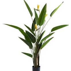 Plante Décorative Paradise Flowers 190Cm