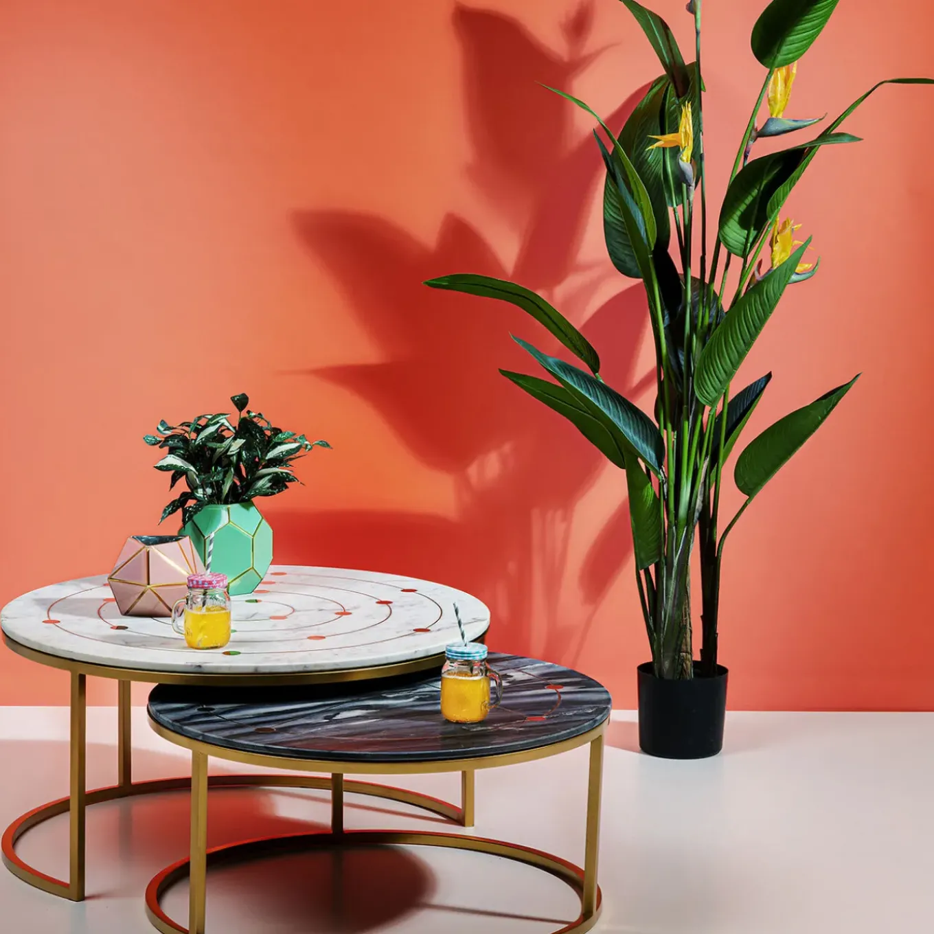 Plante Décorative Paradise Flowers 190Cm