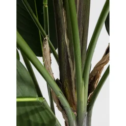 Plante Décorative Paradise Flowers 190Cm