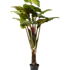 Plante Décorative Rainbow Tree 160Cm