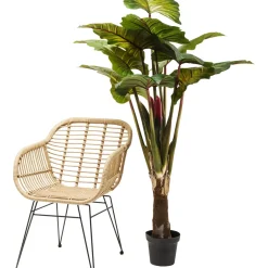 Plante Décorative Rainbow Tree 160Cm