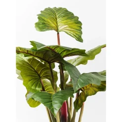 Plante Décorative Rainbow Tree 160Cm