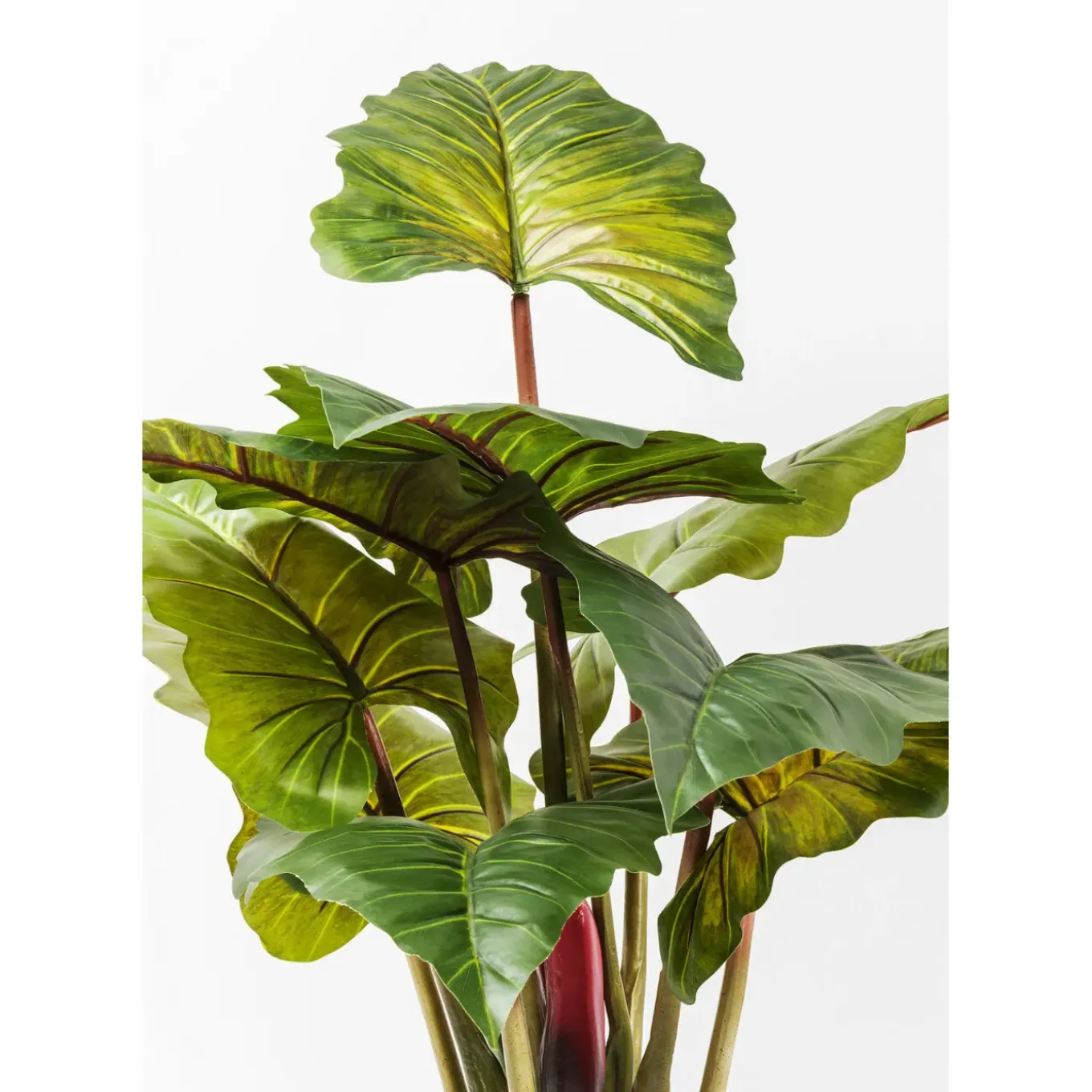 Plante Décorative Rainbow Tree 160Cm