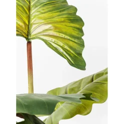 Plante Décorative Rainbow Tree 160Cm