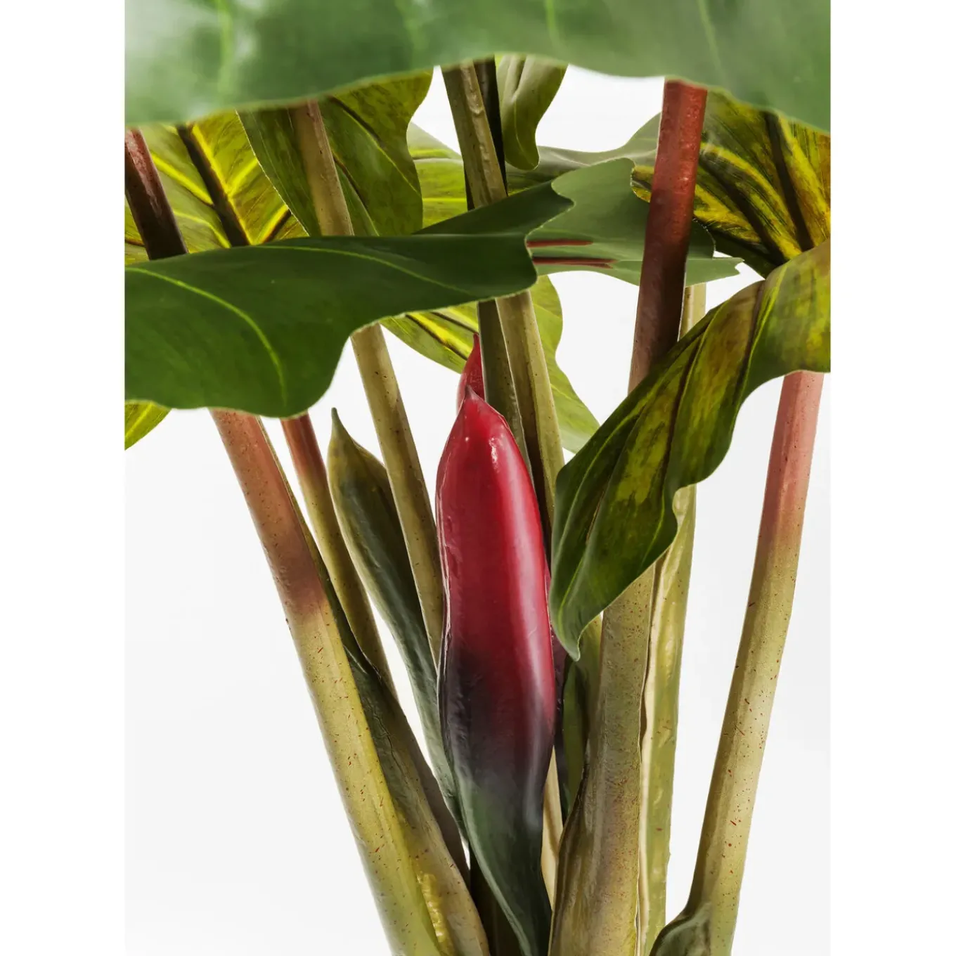 Plante Décorative Rainbow Tree 160Cm