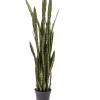 Plante Décorative Sansewieria 155Cm